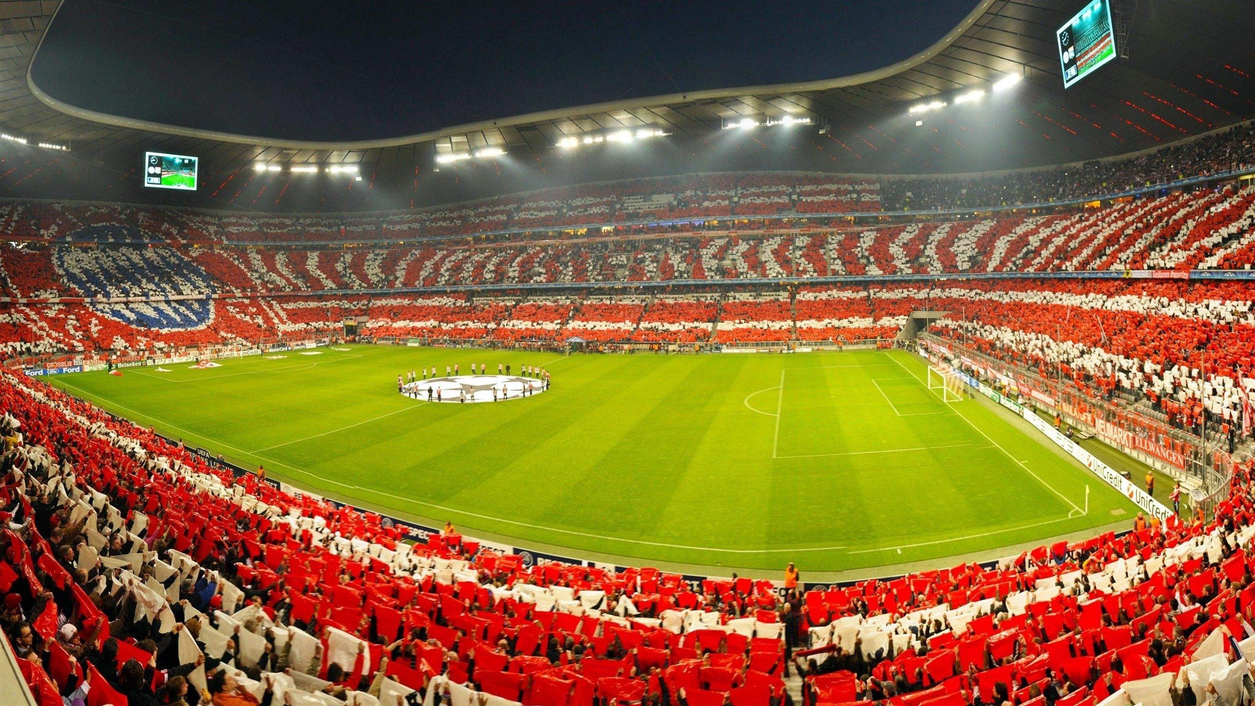 女子体育再创辉煌，全球赛事掀起新热潮